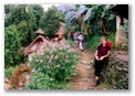 Adventure Geo Treks