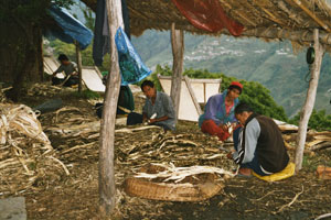 Mardi Himal Culture Trek