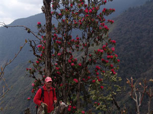 Milke Danda Trekking