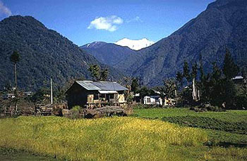 Sikkim - Rhododendrons & Elephants Trekking